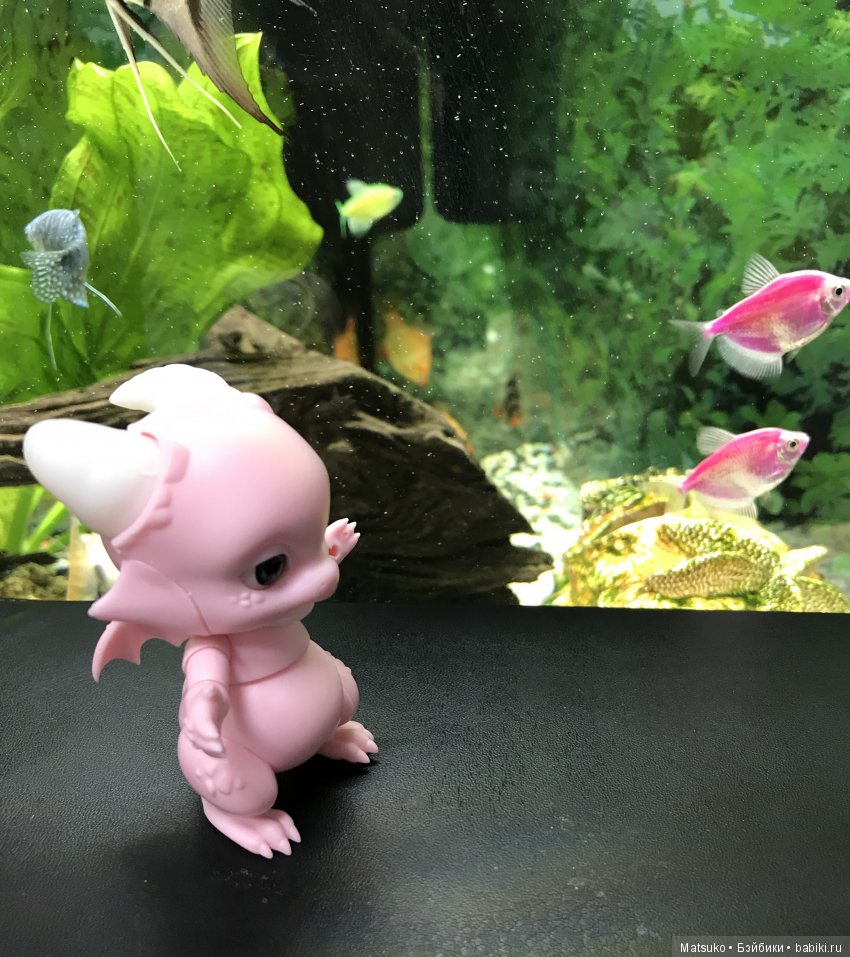 Опять суббота, опять работа (фото 7)