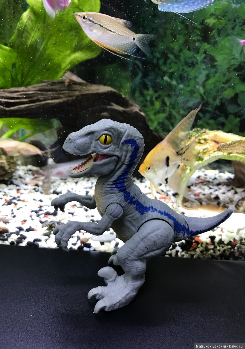 Опять суббота, опять работа (фото 8)