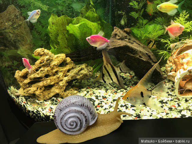 Опять суббота, опять работа...-2