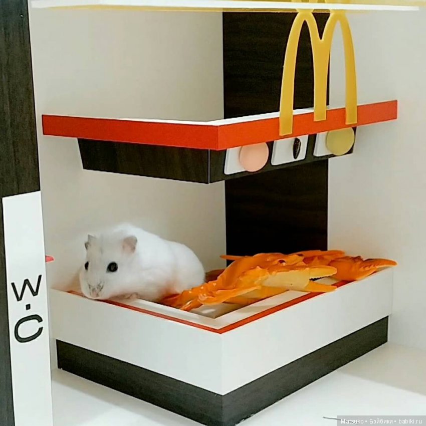 Домики, домики — Интересное и необычное: фотоподборки