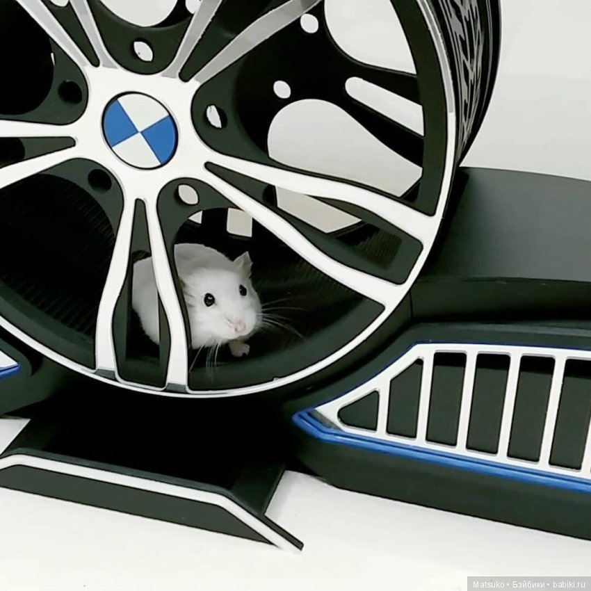 Домики, домики — Интересное и необычное: фотоподборки