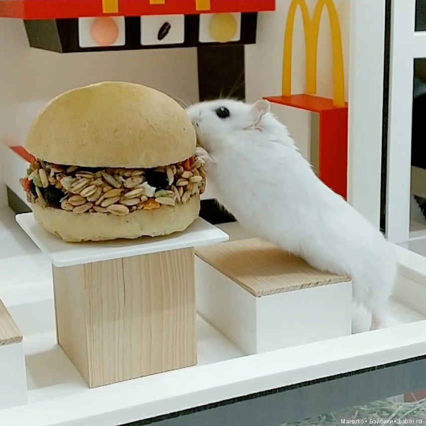 Домики, домики — Интересное и необычное: фотоподборки (фото 10)