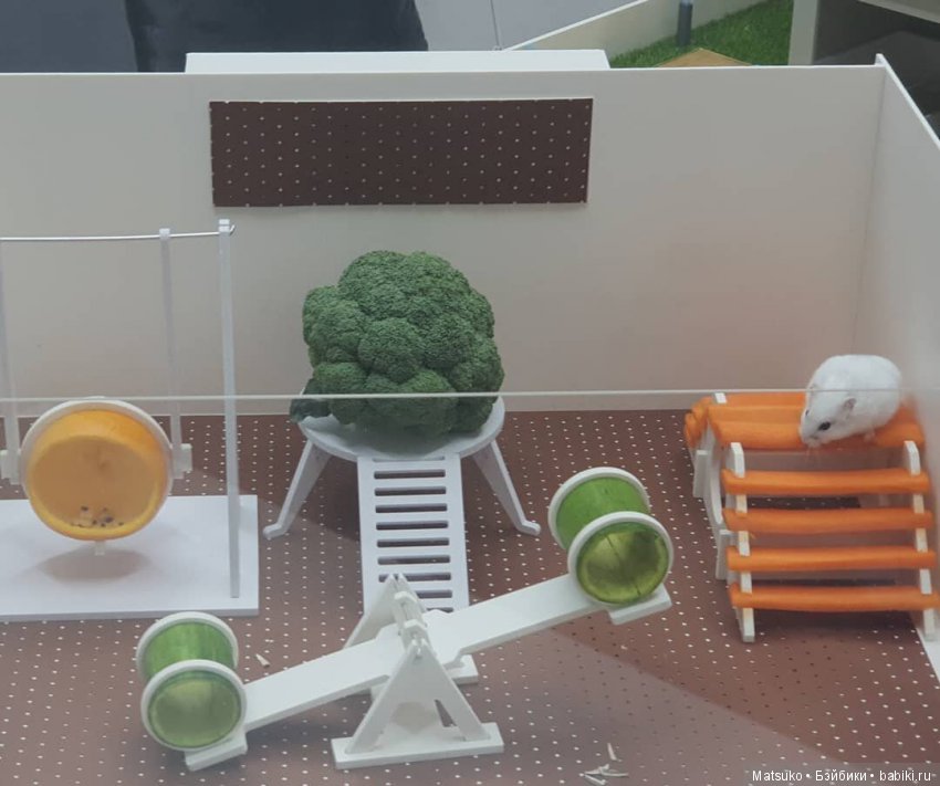 Домики, домики — Интересное и необычное: фотоподборки (фото 3)