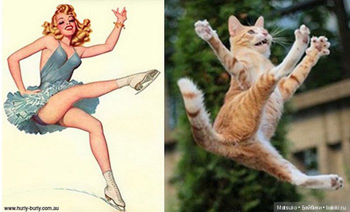 Девушки и кошки — Болталка и разговоры обо всем: жизнь (фото 8)