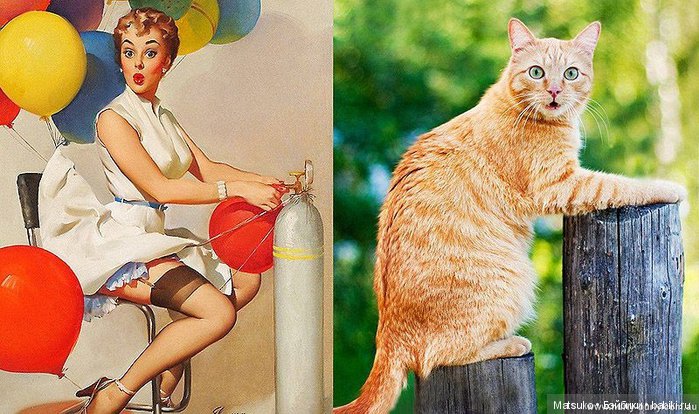 Девушки и кошки — Болталка и разговоры обо всем: жизнь (фото 10)