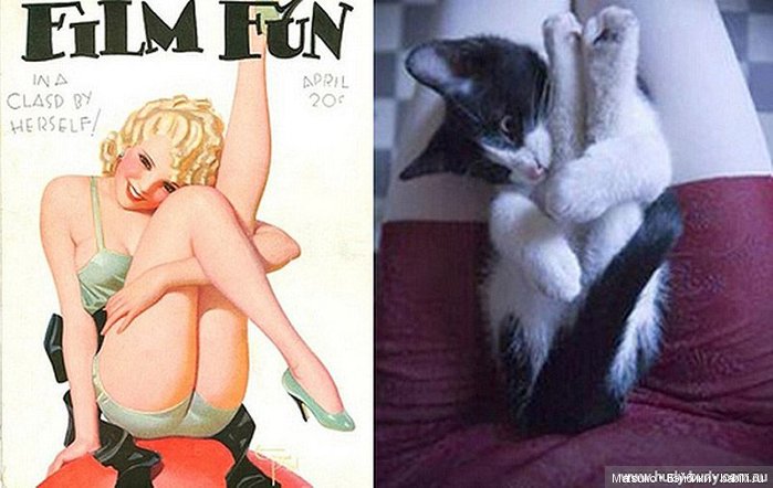 Девушки и кошки — Болталка и разговоры обо всем: жизнь (фото 5)