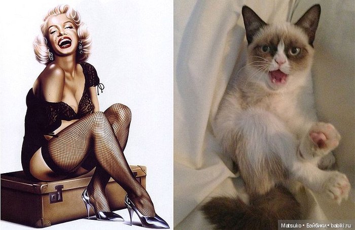 Девушки и кошки — Болталка и разговоры обо всем: жизнь