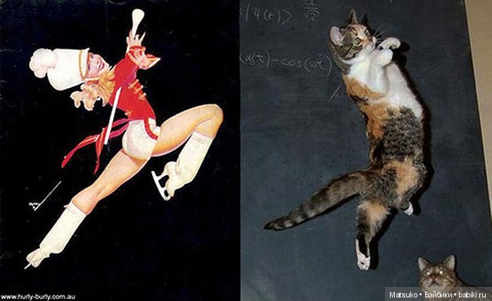 Девушки и кошки — Болталка и разговоры обо всем: жизнь (фото 4)