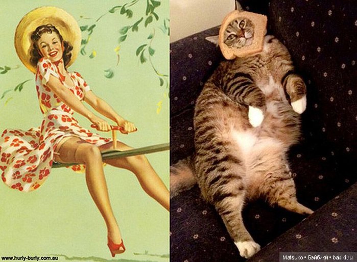 Девушки и кошки — Болталка и разговоры обо всем: жизнь (фото 2)