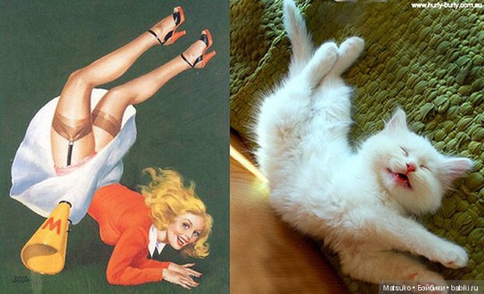 Девушки и кошки — Болталка и разговоры обо всем: жизнь (фото 6)