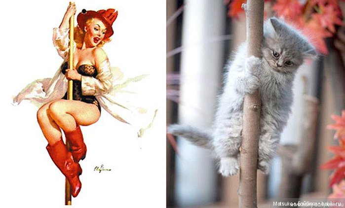 Девушки и кошки — Болталка и разговоры обо всем: жизнь