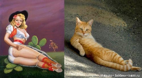 Девушки и кошки — Болталка и разговоры обо всем: жизнь