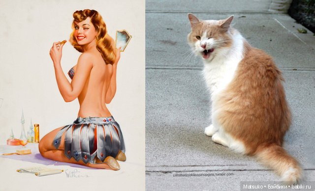 Девушки и кошки — Болталка и разговоры обо всем: жизнь