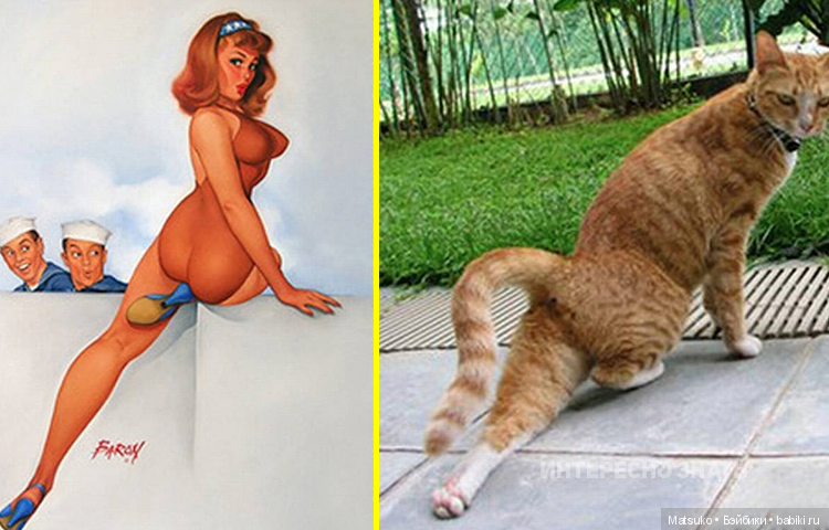 Девушки и кошки — Болталка и разговоры обо всем: жизнь