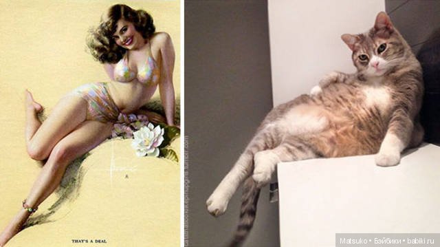 Девушки и кошки — Болталка и разговоры обо всем: жизнь