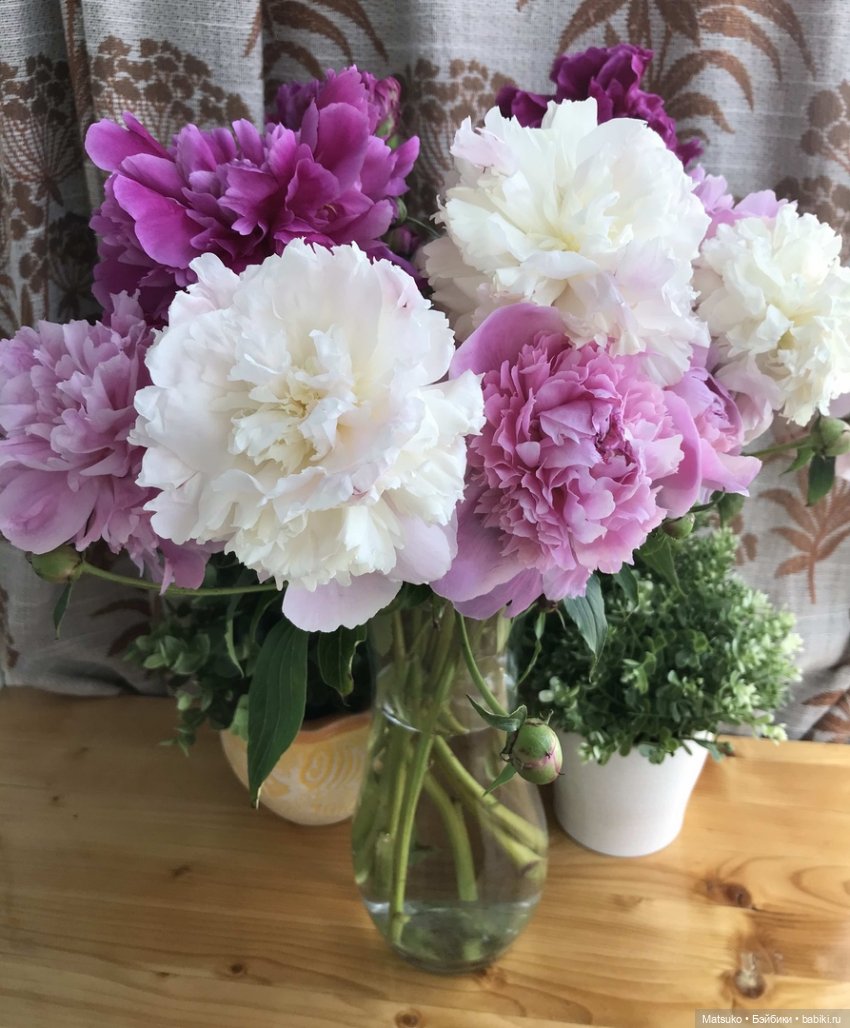 Пионы и куклы — Винтажные куклы ГДР (Немки): Бигги