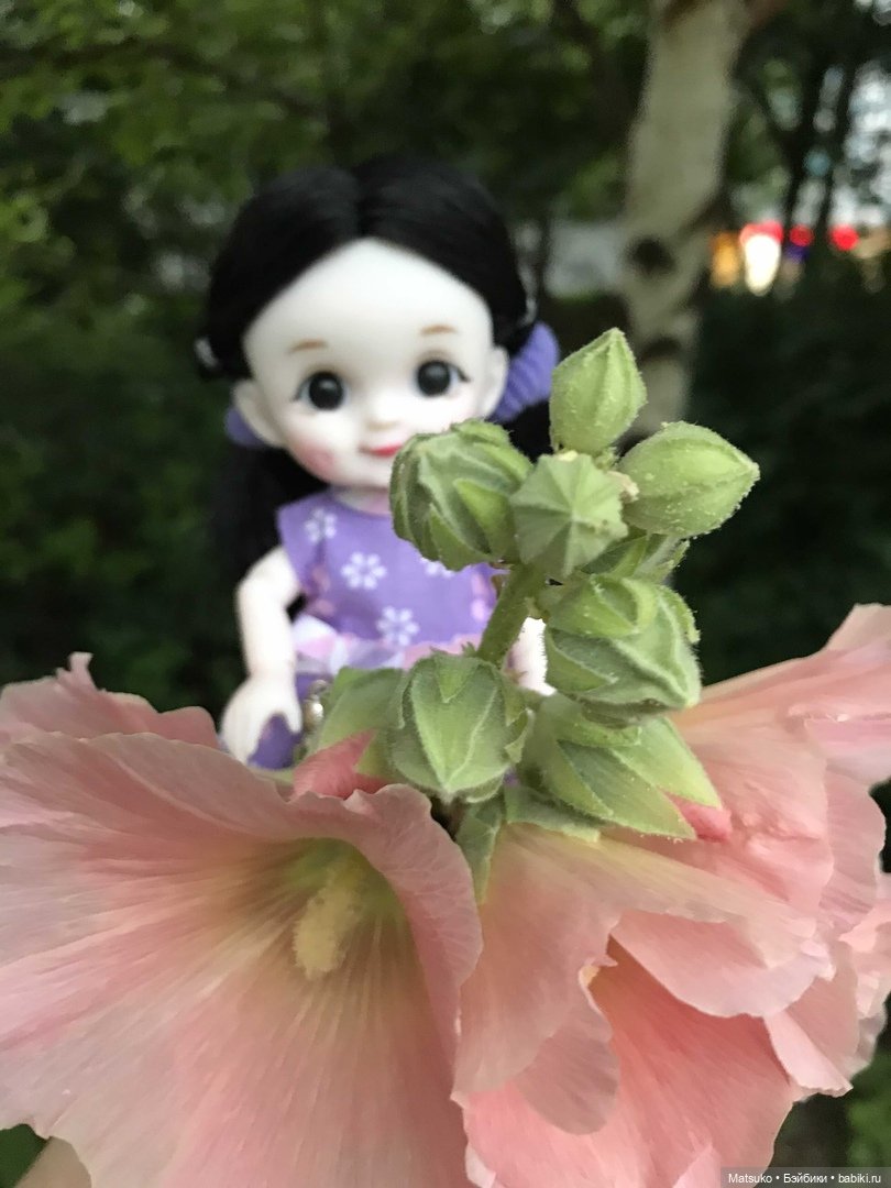 Такая разная мальва — Куклы Baboliy (Баболи