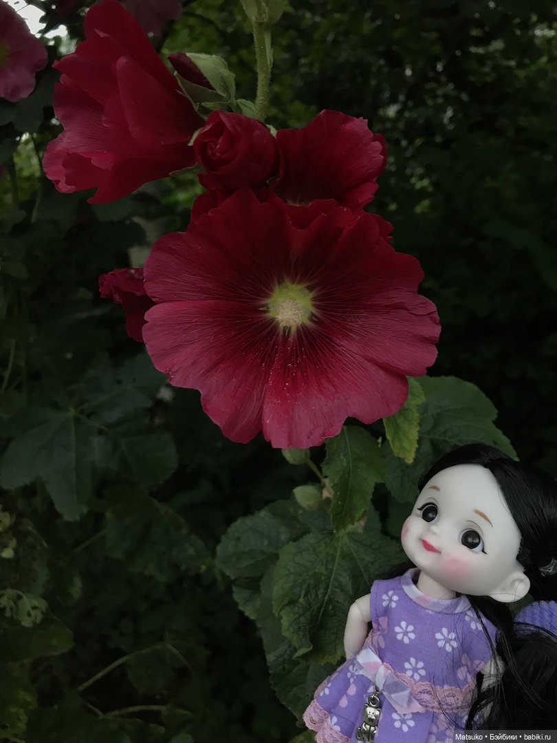 Такая разная мальва — Куклы Baboliy (Баболи