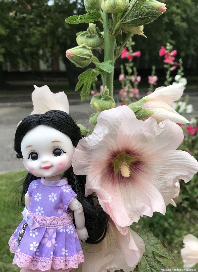 Такая разная мальва — Куклы Baboliy (Баболи (фото 7)