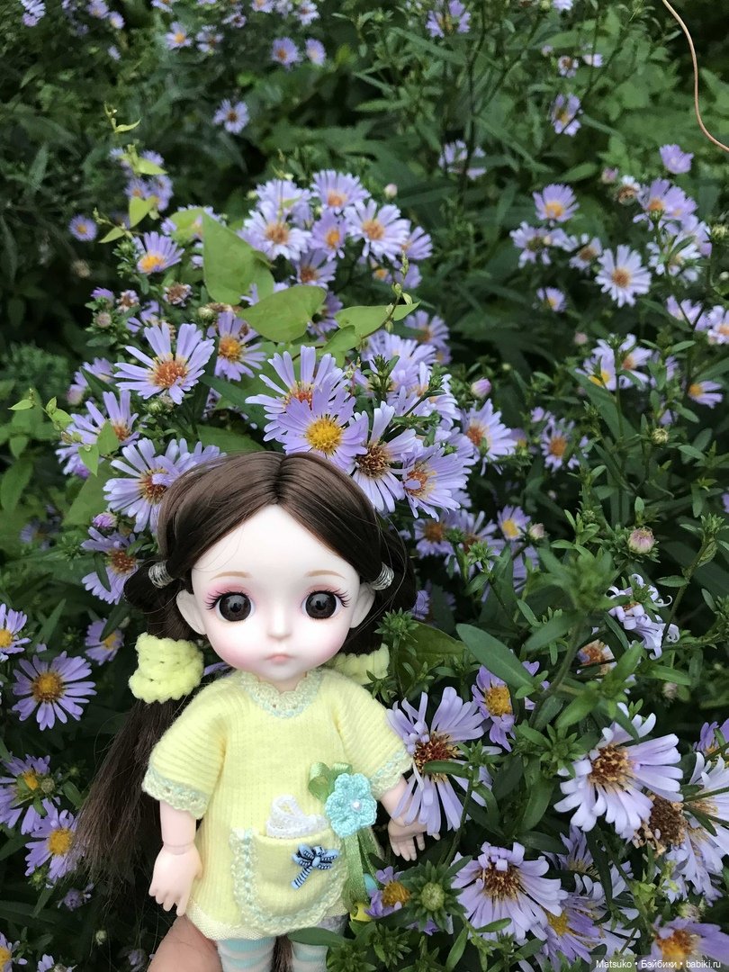 Такая разная мальва — Куклы Baboliy (Баболи