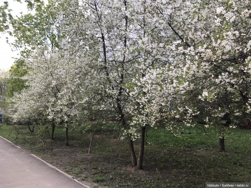 Небольшая прогулка — Российские куклы Весна