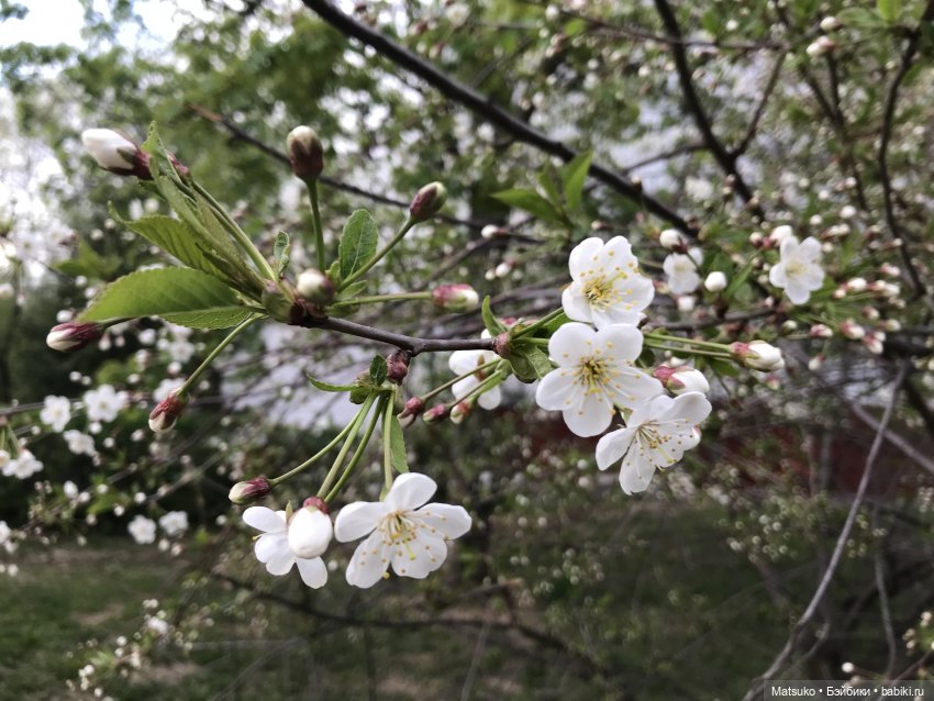 Небольшая прогулка — Российские куклы Весна (фото 4)