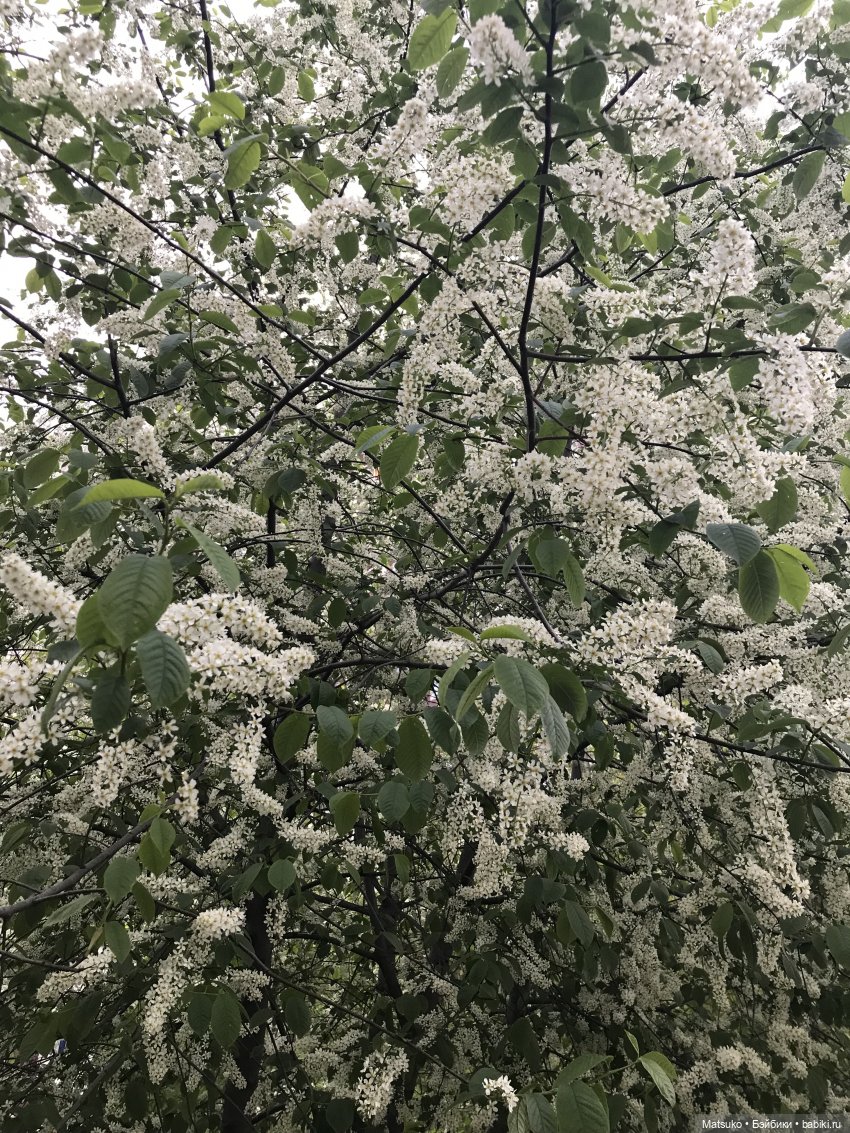 Небольшая прогулка — Российские куклы Весна