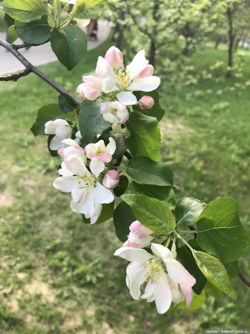 Небольшая прогулка — Российские куклы Весна (фото 10)