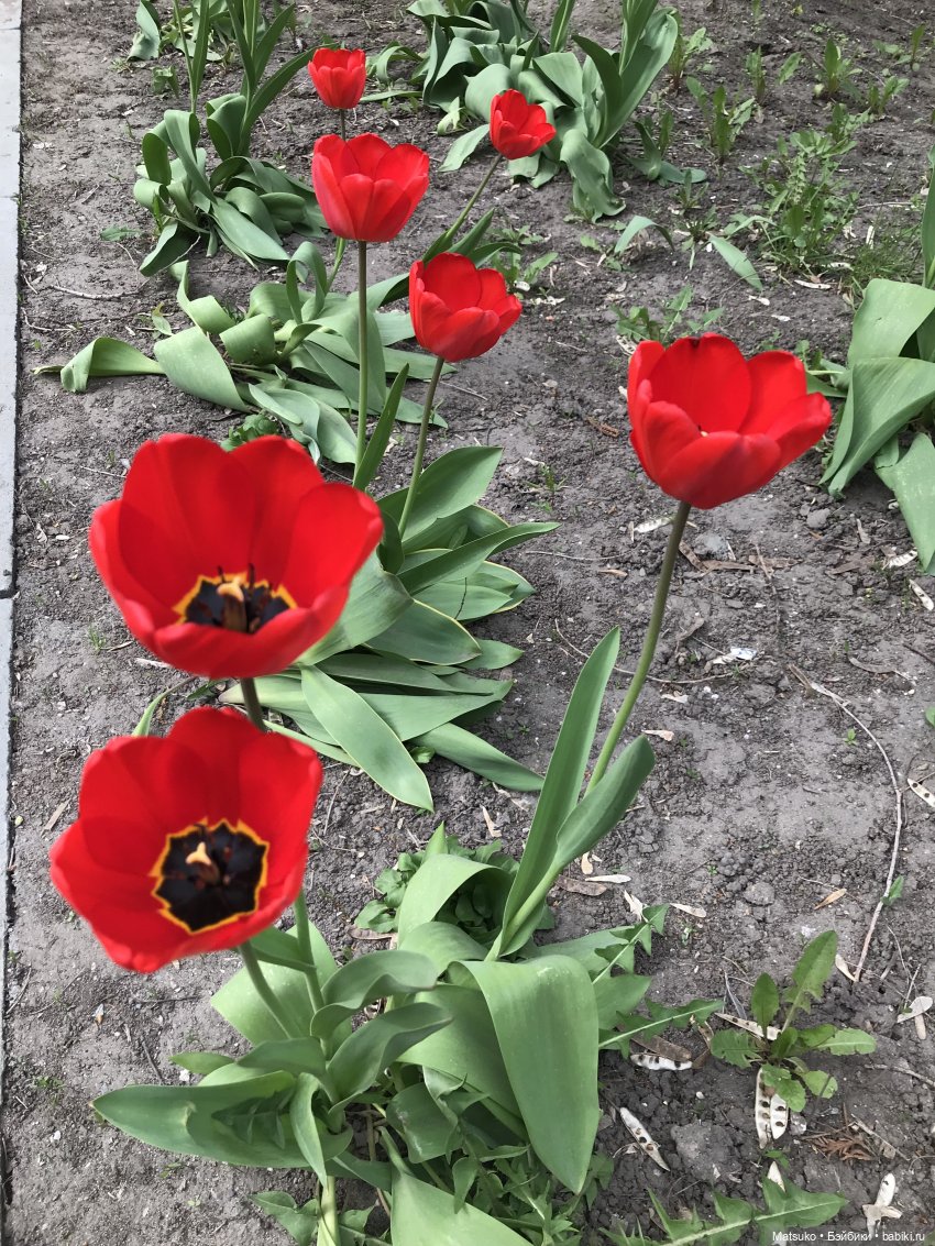 Небольшая прогулка — Российские куклы Весна (фото 8)