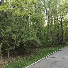 Небольшая прогулка