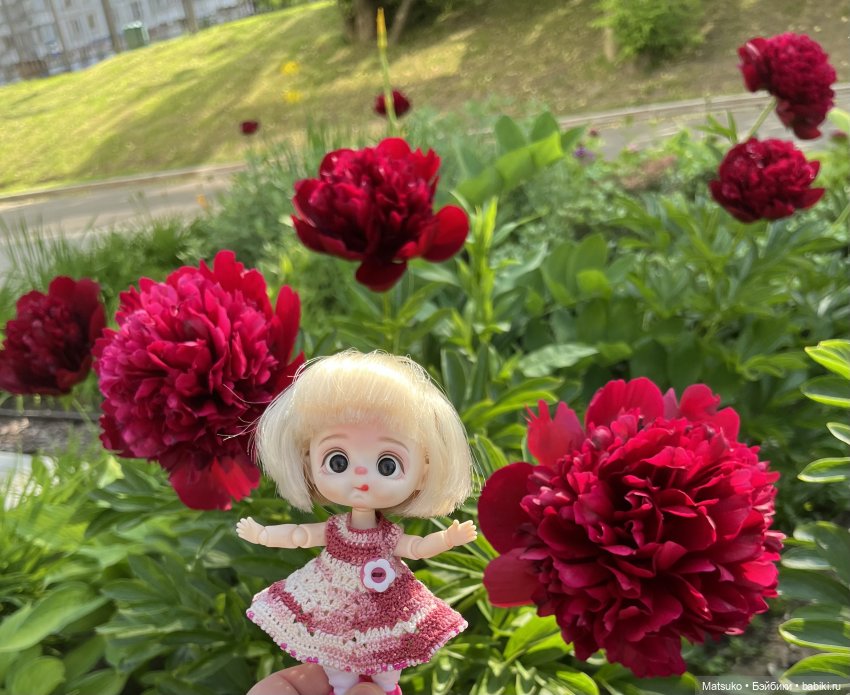 Приключения Варвары 🌸 — Куклы с Алиэкспресс (Aliexpress): Китайские шарнирные (фото 9)