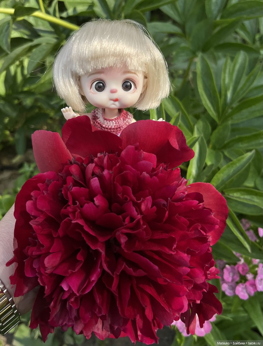 Приключения Варвары 🌸 — Куклы с Алиэкспресс (Aliexpress): Китайские шарнирные