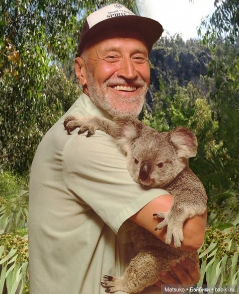 Новогодняя телепрограмма. В мире животных 🐍