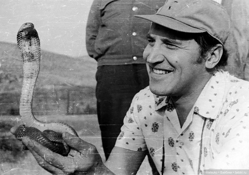 Новогодняя телепрограмма. В мире животных 🐍 (фото 3)