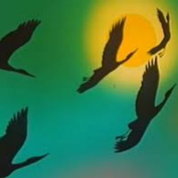 Новогодняя телепрограмма.                                 В мире животных 🐍