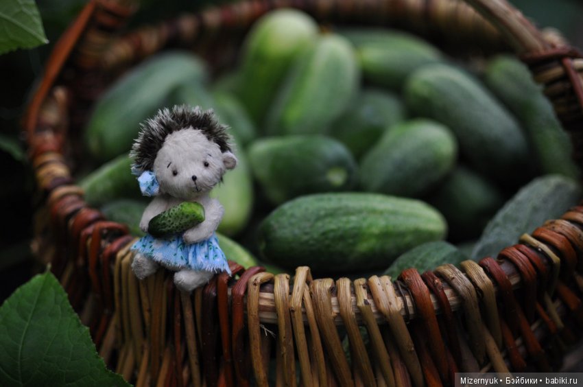 На деревню к Бабушке, продолжение (фото 3)