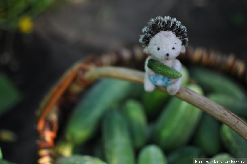 На деревню к Бабушке, продолжение (фото 2)