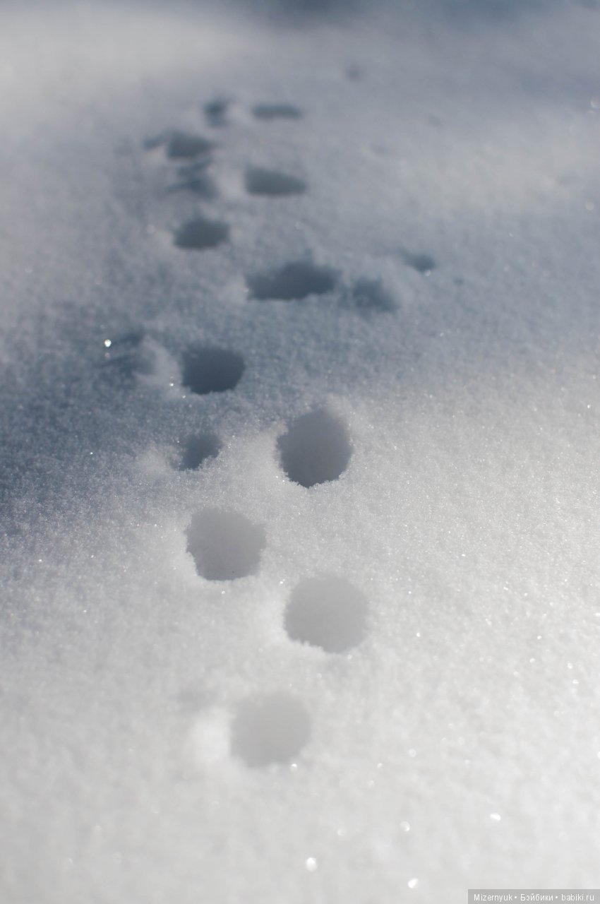 У леса на опушке — Авторские игрушки из разных материалов: синельная проволока (фото 8)