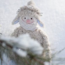 У леса на опушке