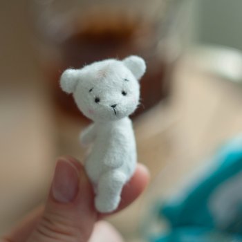 Мишка с Севера