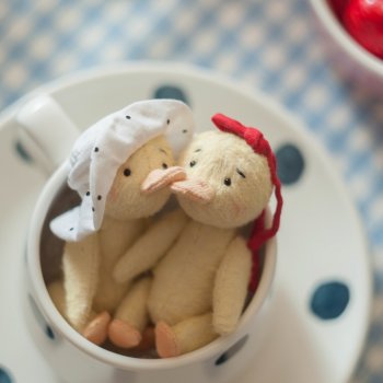 Л ю б о в ь  маленьких утят.