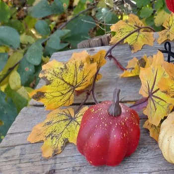 Осенние зарисовки