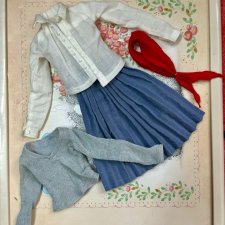 Аутфит для Птички Лоры и схожих по пропорциям кукол