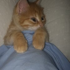 У нас случилась беда