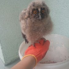 Мы нашли письмо из Хогвартса.