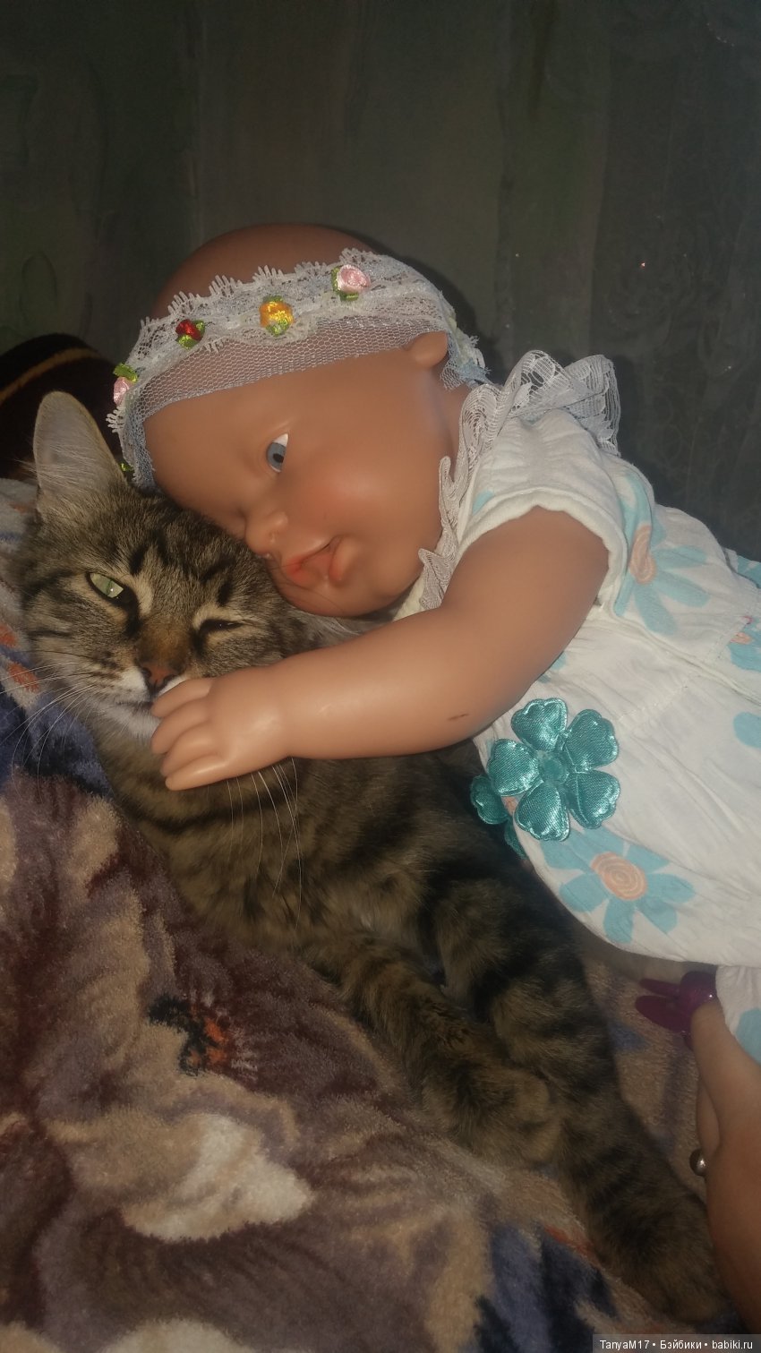 Украла сердце, даже не спросив разрешения (фото 6)