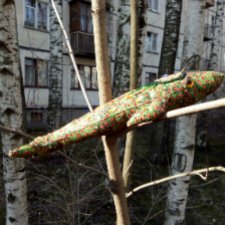 Сказки, киты и немного волшебства