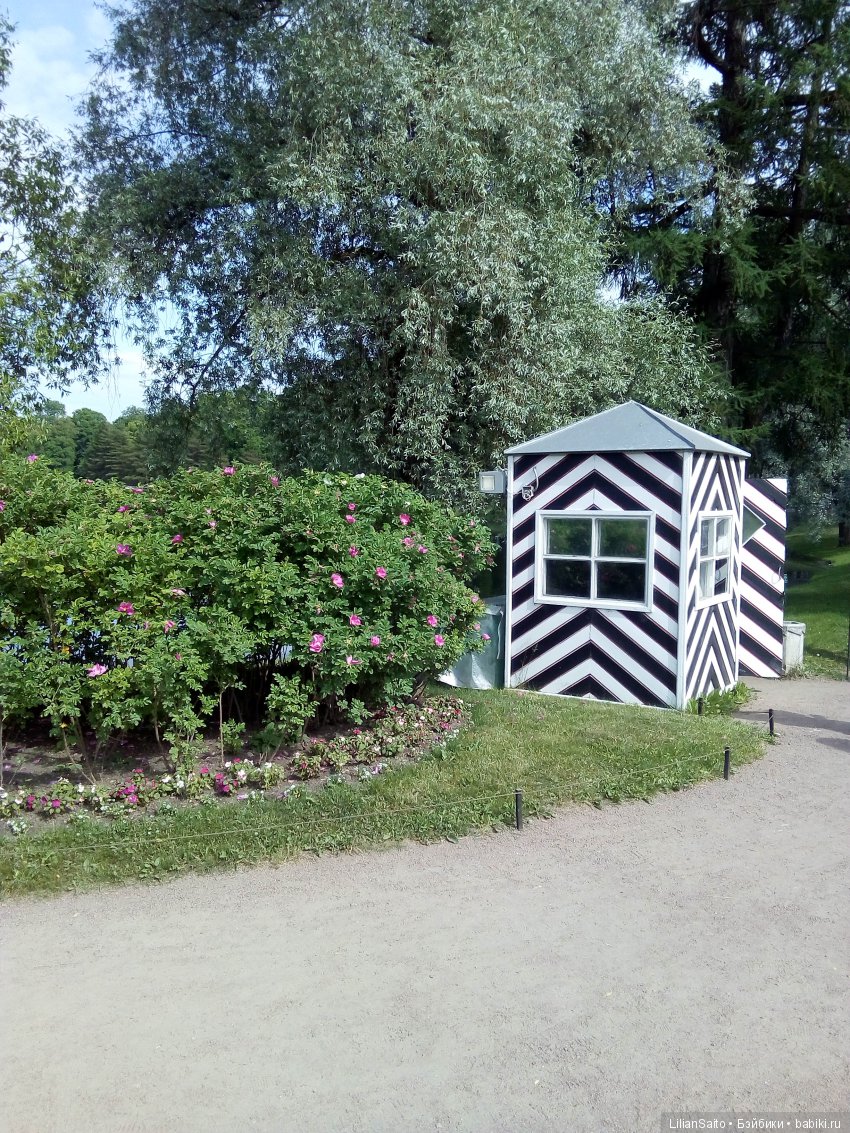 Отечество нам Царское Село (фото 6)