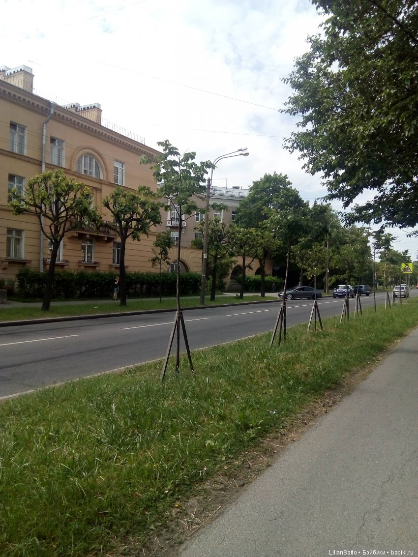 Отечество нам Царское Село