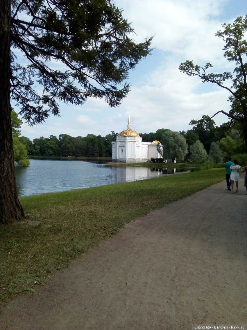 Отечество нам Царское Село (фото 5)